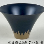 n004