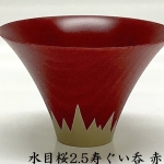 n004
