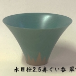 n004